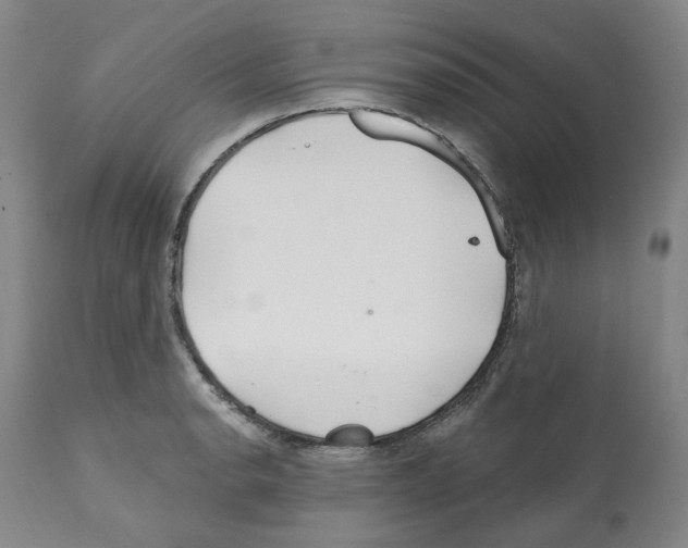 X0000112161134200909181441