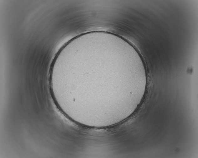 X0000112161135200909181441