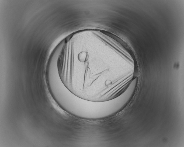 X0000112161136200909181441