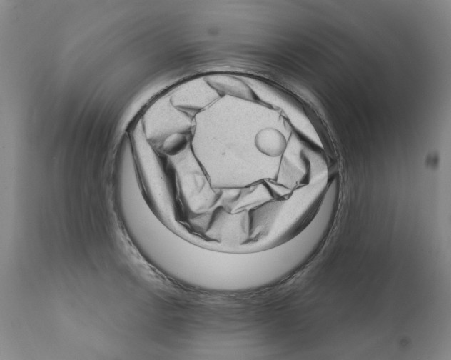 X0000112161138200909181441