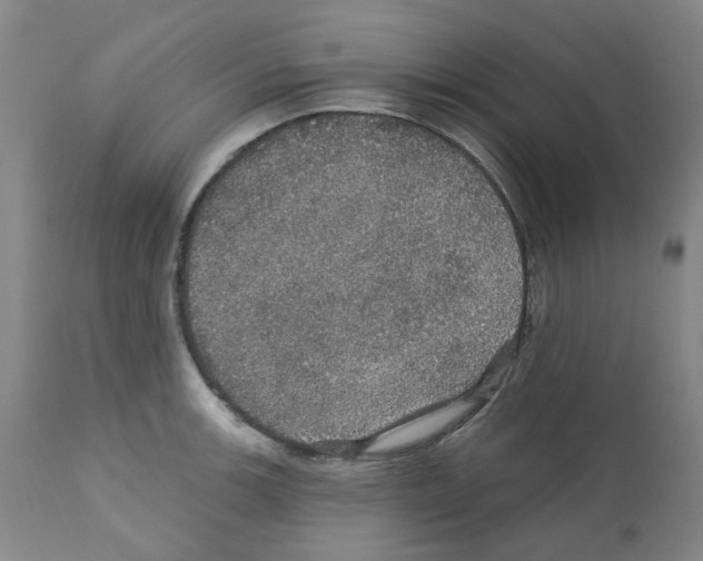 X0000112161139200909181441