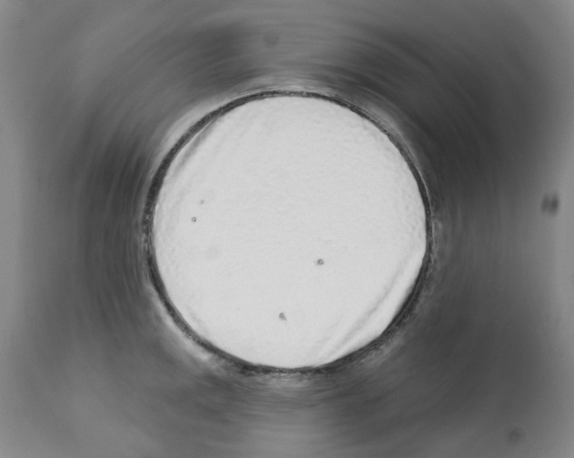 X0000112161141200909181441