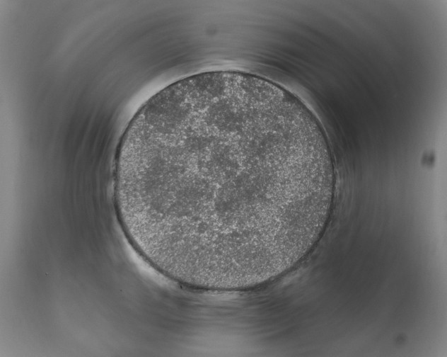 X0000112161143200909181441
