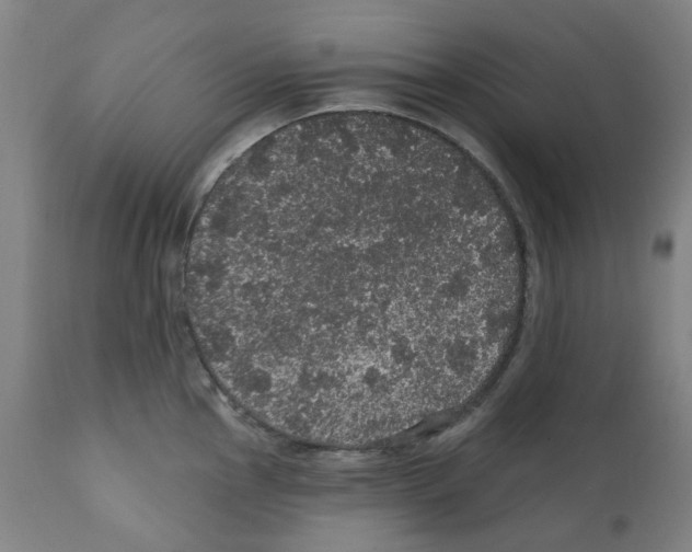 X0000112161145200909181441