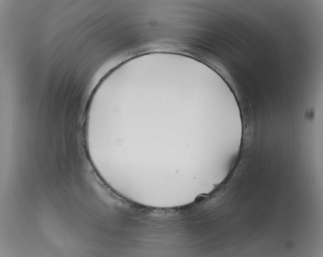X0000112161146200909181441
