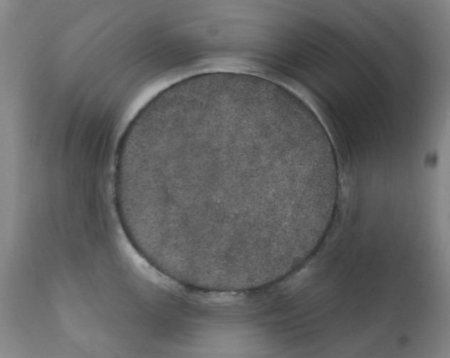 X0000112161147200909181441