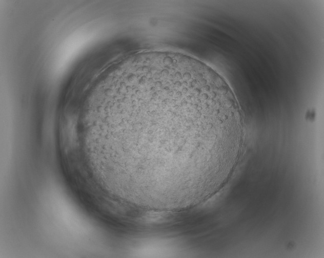 X0000112161150200909181441