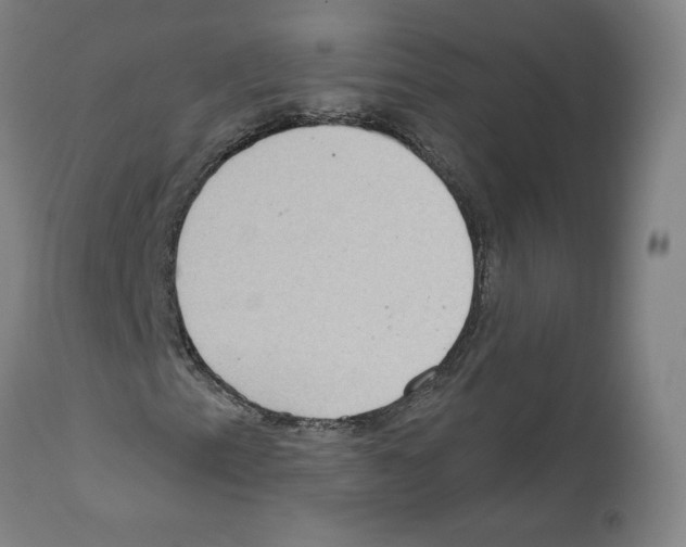 X0000112161153200909181441
