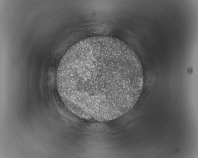 X0000112161154200909181441