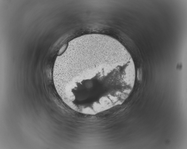 X0000112161155200909181441