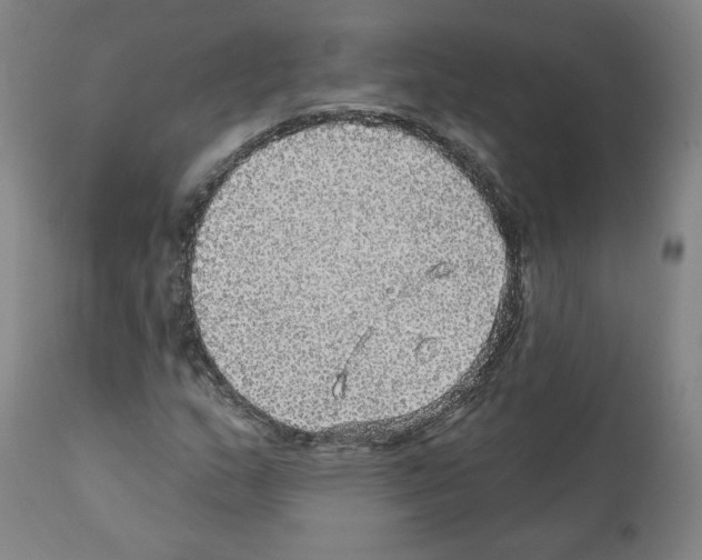 X0000112161159200909181440