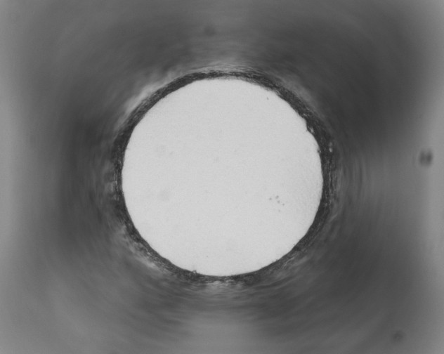 X0000112161160200909181440