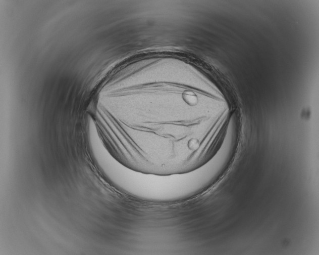 X0000112161161200909181440