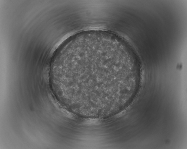 X0000112161162200909181440