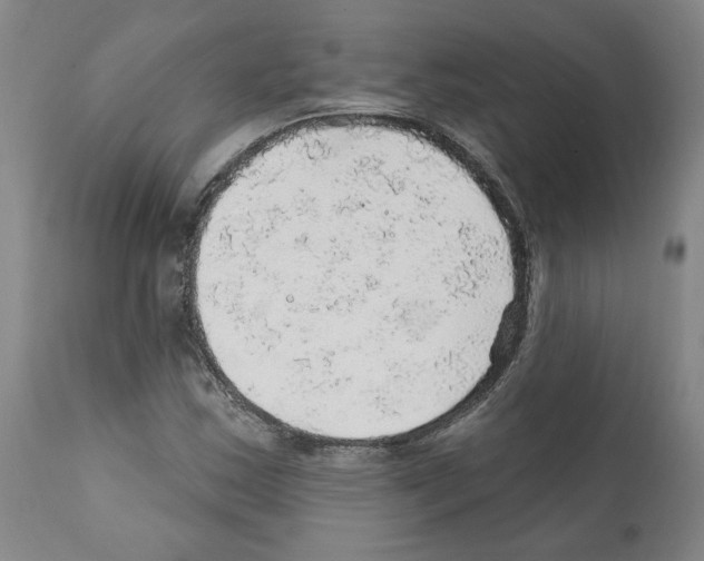 X0000112161163200909181440