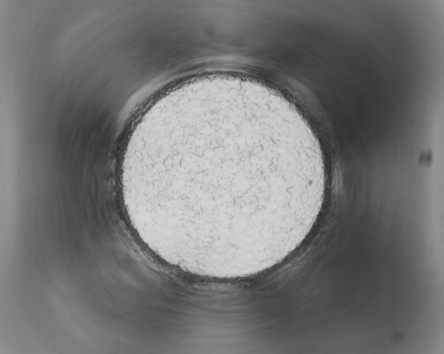 X0000112161164200909181440