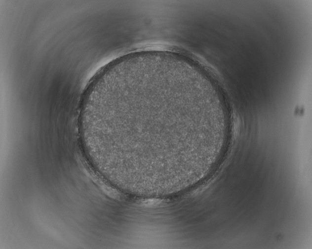 X0000112161166200909181440