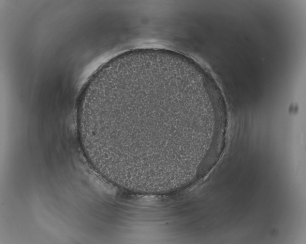 X0000112161167200909181440