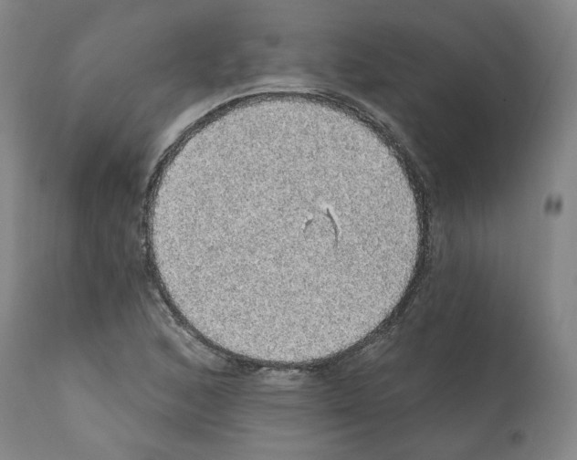 X0000112161168200909181440