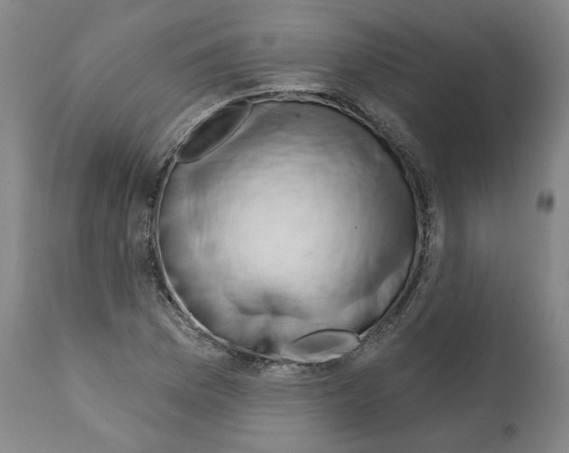 X0000112161169200909181440