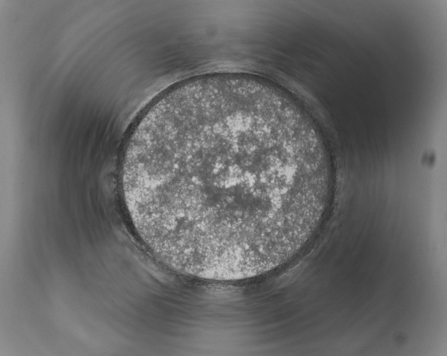 X0000112161170200909181440