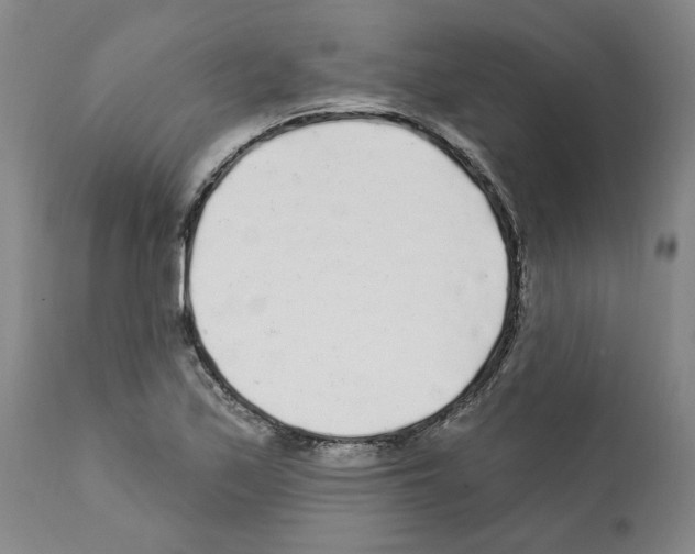 X0000112161171200909181440