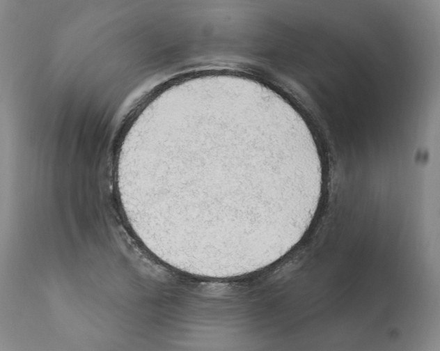 X0000112161172200909181440