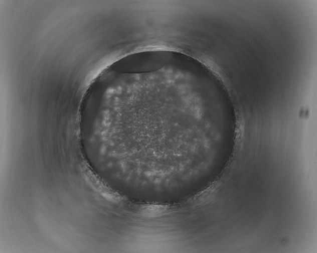 X0000112161173200909181440