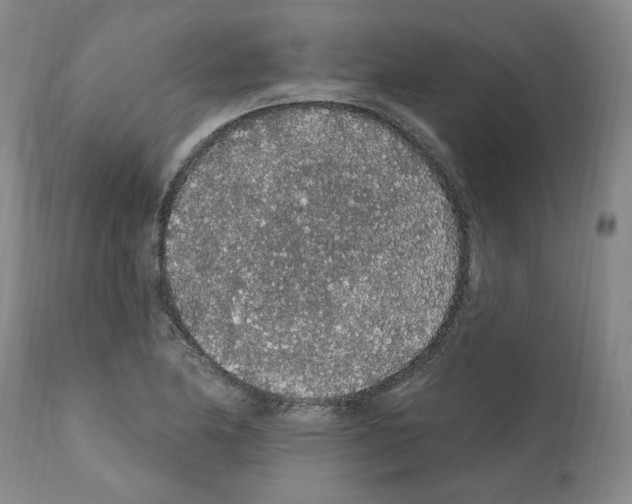 X0000112161174200909181440