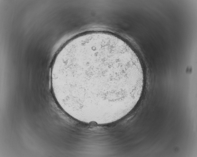 X0000112161175200909181440