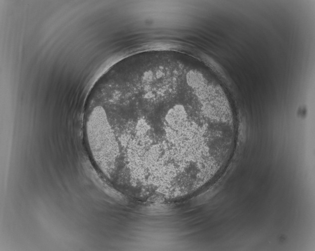 X0000112161178200909181440