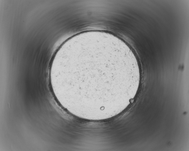 X0000112161179200909181440