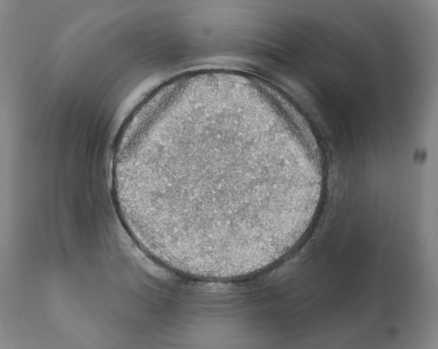 X0000112161180200909181440