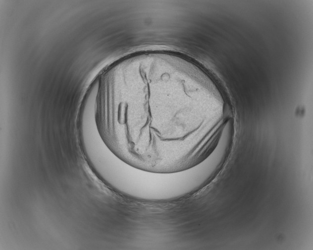 X0000112161181200909181440