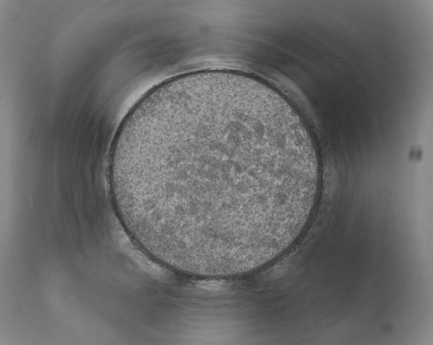 X0000112161182200909181440