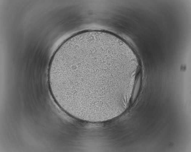 X0000112161183200909181440