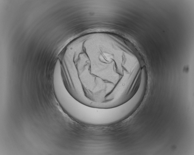 X0000112161185200909181440