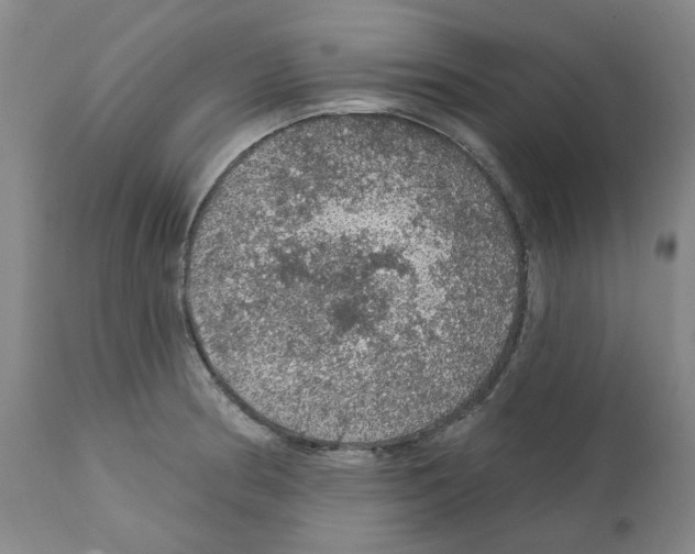 X0000112161186200909181440