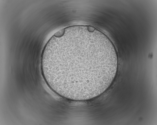 X0000112161187200909181440