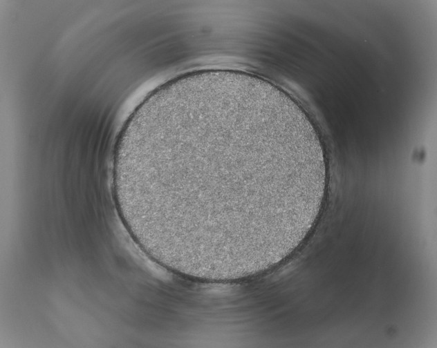 X0000112161188200909181440
