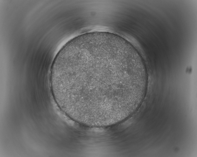 X0000112161190200909181440