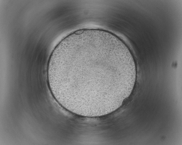 X0000112161191200909181440