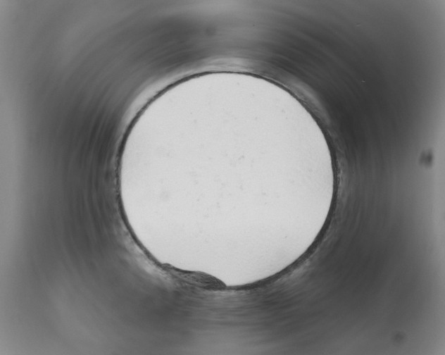 X0000112161192200909181440