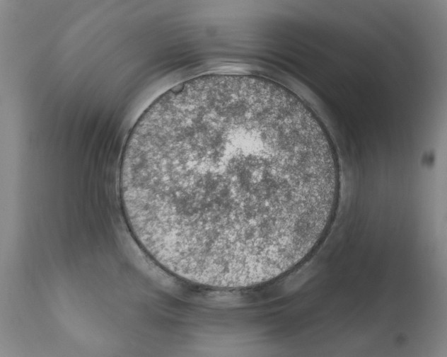 X0000112161194200909181440
