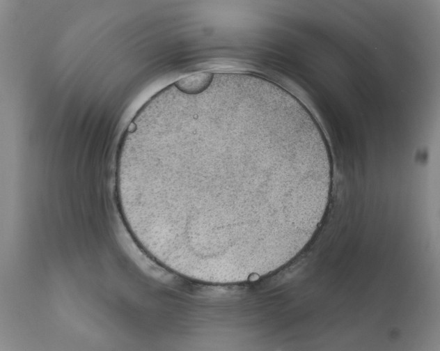 X0000112161195200909181440