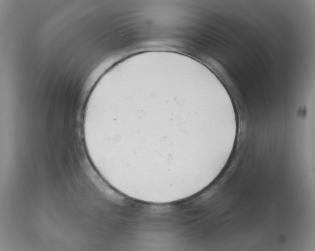 X0000112161196200909181440