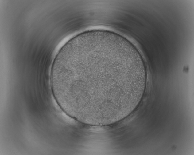 X0000112161199200909181440