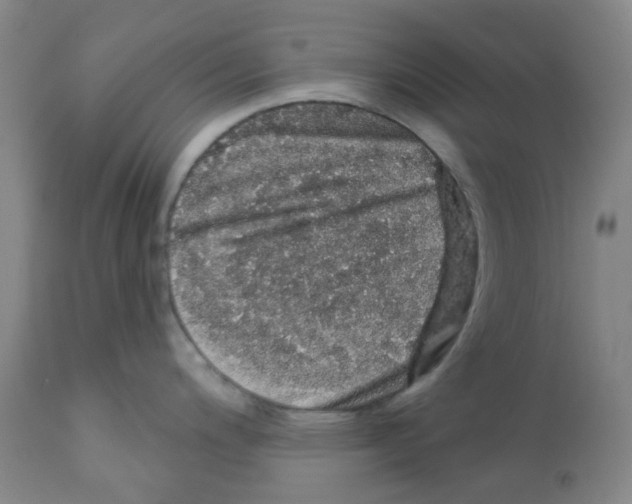 X0000112161200200909181440