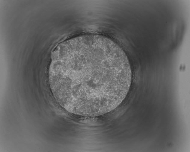 X0000112161201200909181439