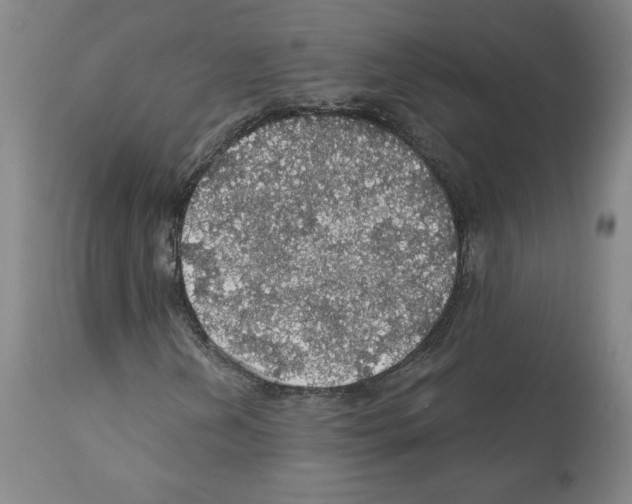 X0000112161202200909181439